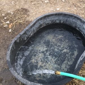 Meet your Posher, Jody